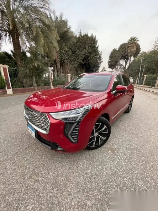 هافال جوليان 2022 نبيتي مستعملة للبيع - 3