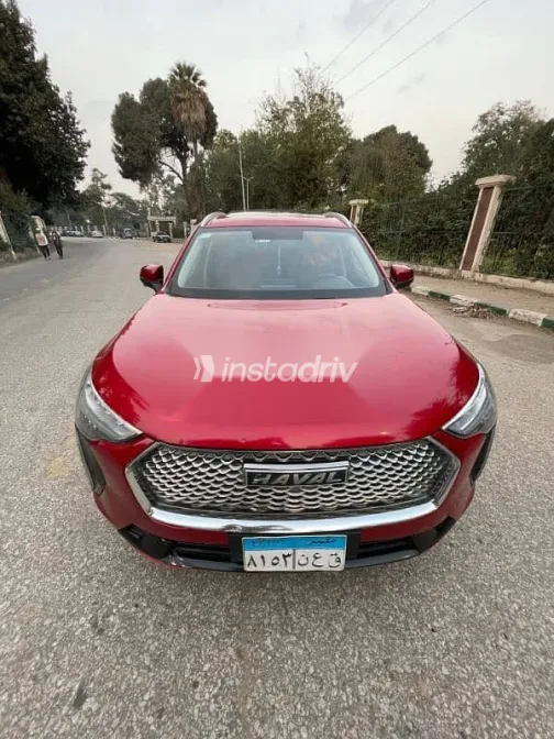 هافال جوليان 2022 نبيتي مستعملة للبيع - 4