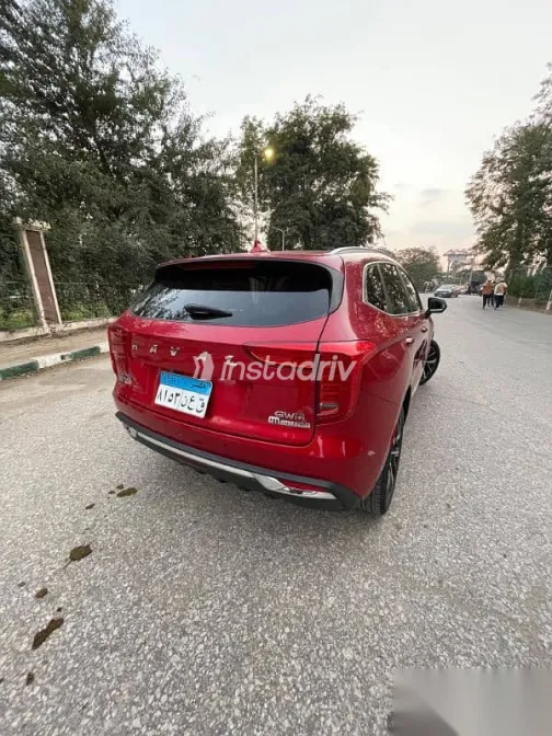 هافال جوليان 2022 نبيتي مستعملة للبيع - 5