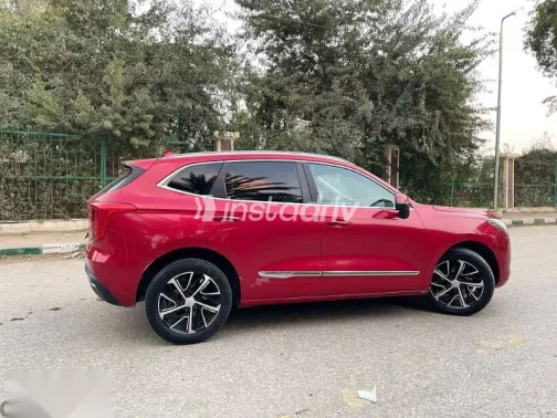 هافال جوليان 2022 نبيتي مستعملة للبيع - 8