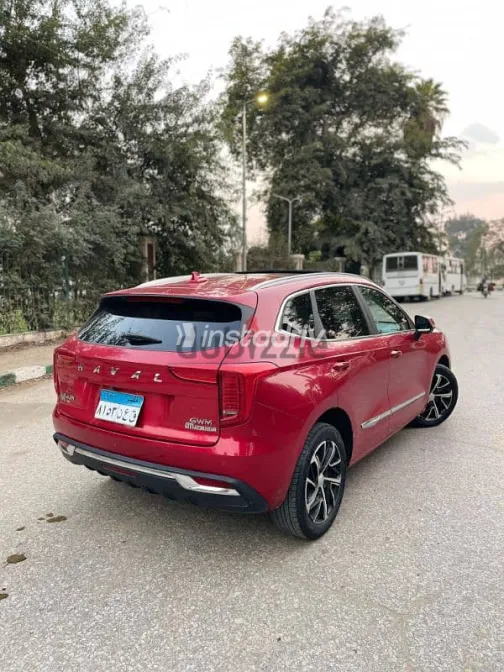 هافال جوليان 2022 نبيتي مستعملة للبيع - 9