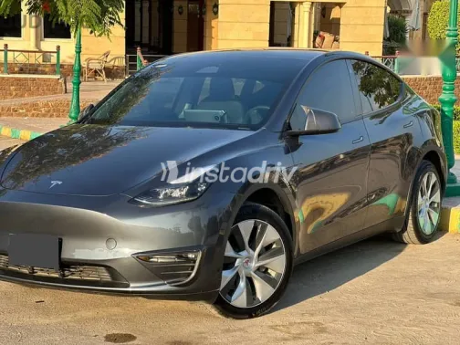 تسلا موديل 3 2023 رمادي مستعملة للبيع - 1