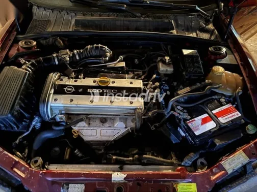 اوبل فيكترا 1999 نبيتي مستعملة للبيع - 10