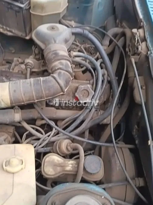 فيات شاهين 2001 أخضر مستعملة للبيع - 9