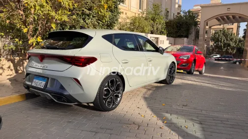 كوبرا ليون 2025 أبيض مستعملة للبيع - 7