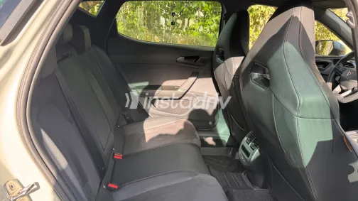 كوبرا ليون 2025 أبيض مستعملة للبيع - 9