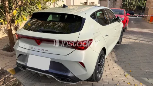 كوبرا ليون 2025 أبيض مستعملة للبيع - 10