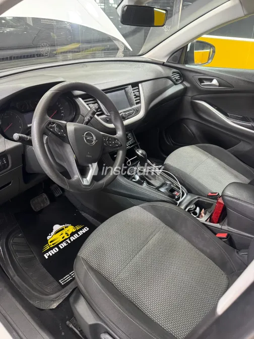 اوبل جراند لاند 2019 أبيض مستعملة للبيع - 2