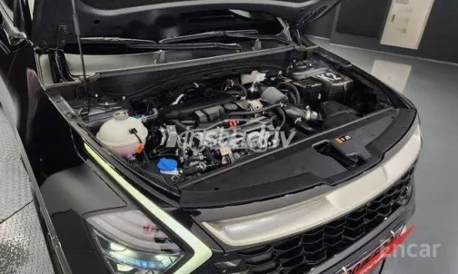 Kia Sportage 2024 Black Used for Sale - 6