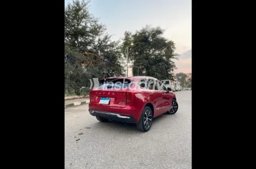 هافال جوليان 2022 أبيض مستعملة للبيع - 2