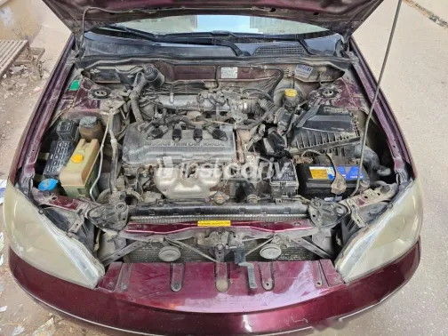 نيسان صنى 2010 أحمر غامق مستعملة للبيع - 5