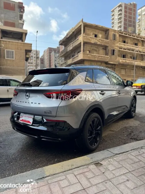 اوبل جراند لاند 2025 أبيض مستعملة للبيع - 3