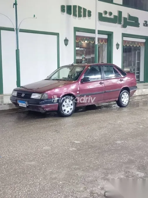 فيات تمبرا 1991 نبيتي مستعملة للبيع - 1