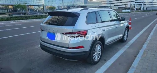 سكودا كودياك 2023 فضي مستعملة للبيع - 2