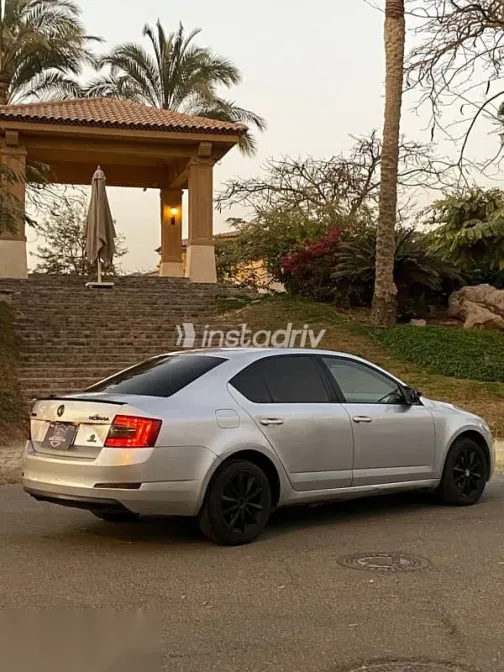 سكودا اوكتافيا 2014 فضي مستعملة للبيع - 5