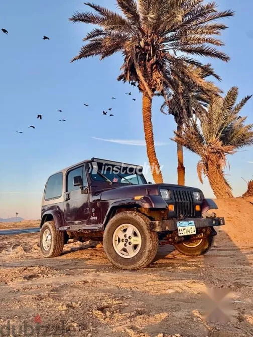 جيب رانجلر 1997 نبيتي مستعملة للبيع - 2