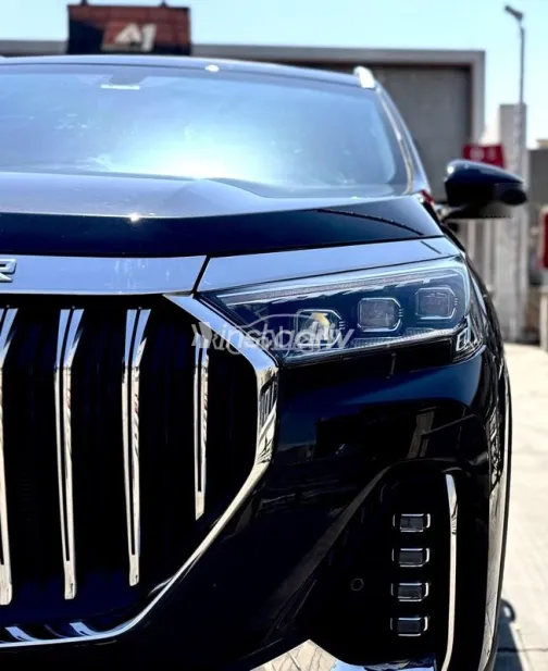 جيتور اكس 90 بلس 2026 أبيض مستعملة للبيع - 2