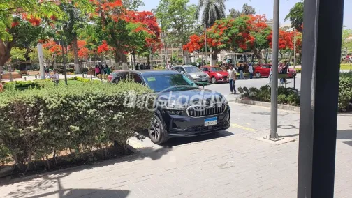 Skoda Kodiaq 2025 White Used for Sale - 1