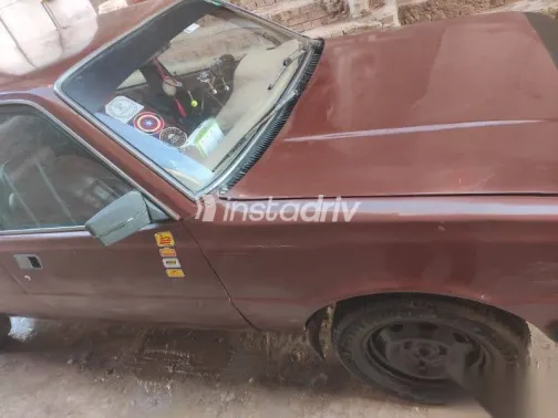 بيجو 305 1979 نبيتي مستعملة للبيع - 8