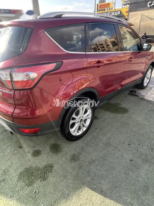 فورد كوجا 2019 أبيض مستعملة للبيع - 3