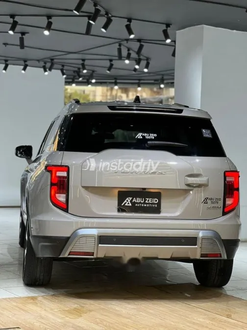 كي جي ام توريس 2025 فضي مستعملة للبيع - 9