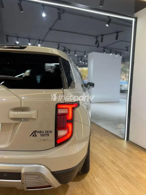 كي جي ام توريس 2025 فضي مستعملة للبيع - 10