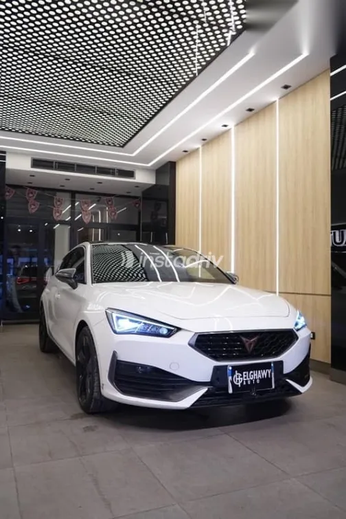 كوبرا ليون 2024 أبيض مستعملة للبيع - 1