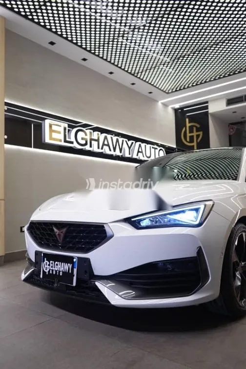 كوبرا ليون 2024 أبيض مستعملة للبيع - 6