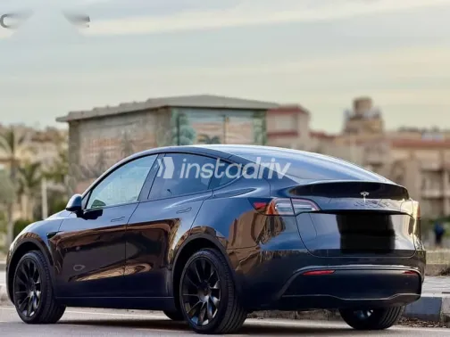 تسلا موديل 3 2024 رمادي جديدة للبيع - 7