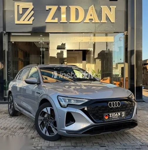 Audi Q8 2024 Silver Used for Sale - 2