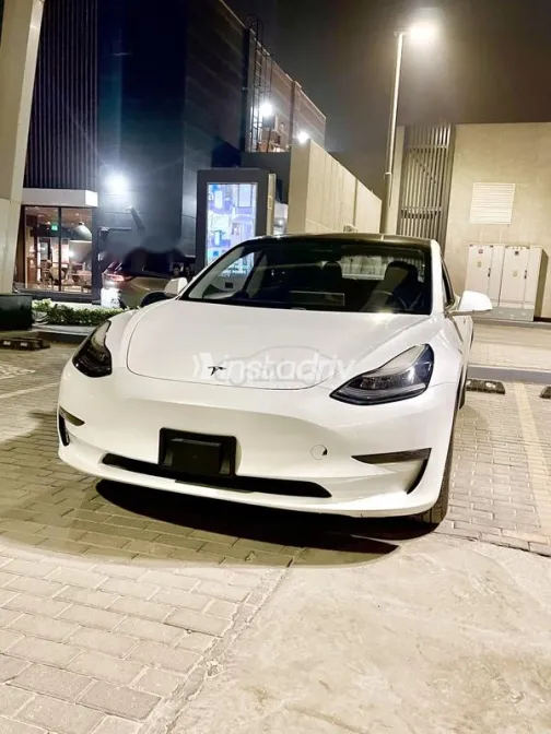 تسلا موديل 3 2019 أبيض مستعملة للبيع - 2
