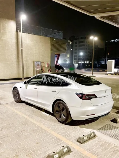 تسلا موديل 3 2019 أبيض مستعملة للبيع - 4