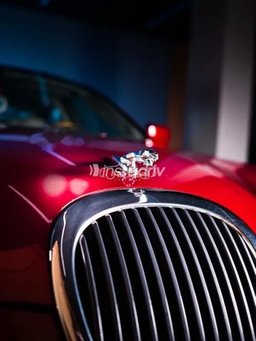 جاكوار س تيب 2001 أحمر غامق مستعملة للبيع - 4