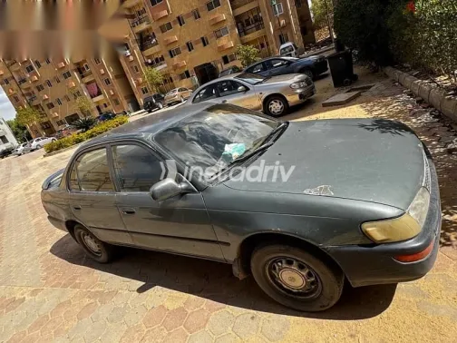 تويوتا كورولا 1992 أخضر مستعملة للبيع - 2