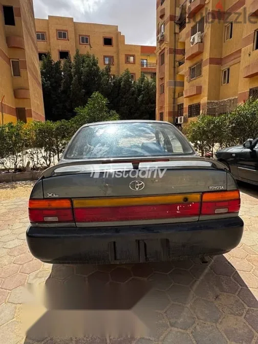 تويوتا كورولا 1992 أخضر مستعملة للبيع - 3
