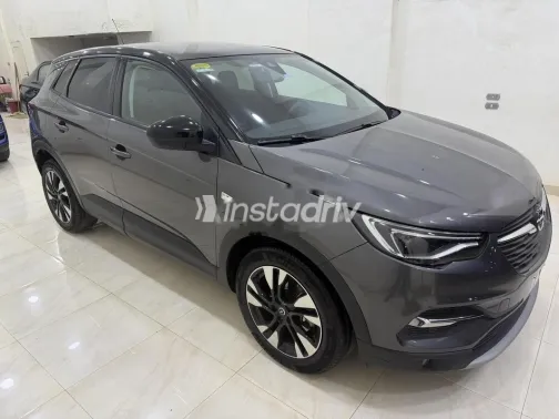 اوبل جراند لاند 2022 رمادي مستعملة للبيع - 3
