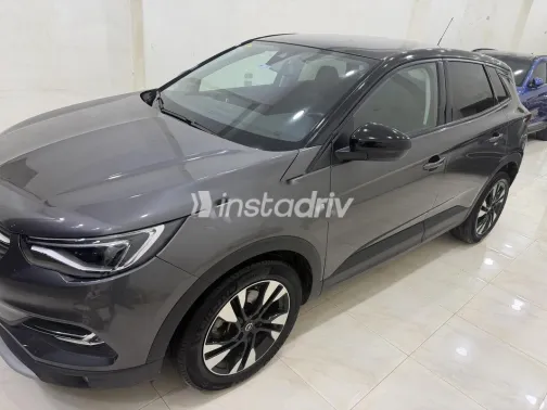 اوبل جراند لاند 2022 رمادي مستعملة للبيع - 5