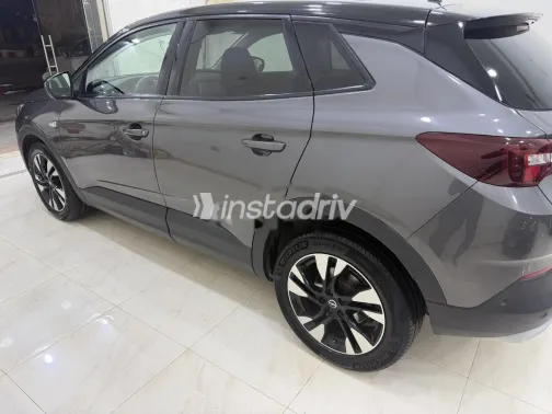 اوبل جراند لاند 2022 رمادي مستعملة للبيع - 6