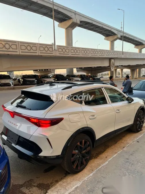 كوبرا فورمينتور 2026 أبيض جديدة للبيع - 9