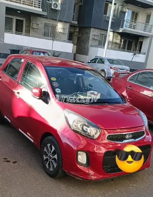 Kia Picanto 2016 White Used for Sale - 1