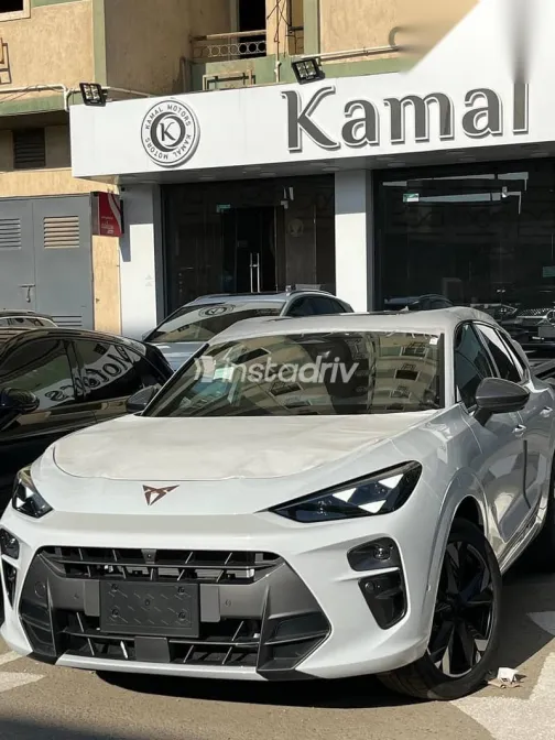 كوبرا تيرامار 2025 أبيض جديدة للبيع - 1