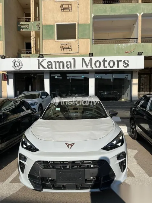 كوبرا تيرامار 2025 أبيض جديدة للبيع - 2