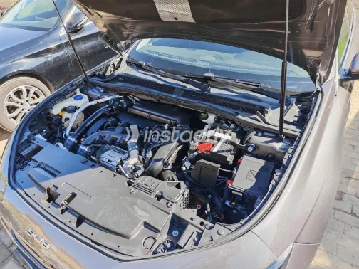 بيجو 508 2022 أبيض مستعملة للبيع - 1