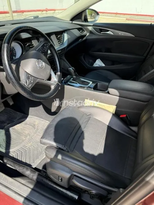 اوبل أنسيجنيا 2019 أحمر غامق مستعملة للبيع - 1