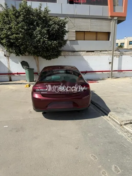 اوبل أنسيجنيا 2019 أحمر غامق مستعملة للبيع - 4