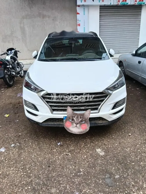 هيونداي توسان 2019 أبيض مستعملة للبيع - 2