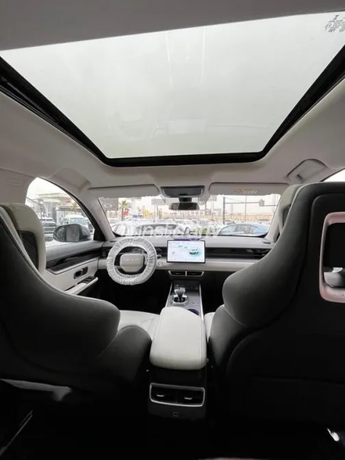 جيتور داشينج 2026 رمادي مستعملة للبيع - 2