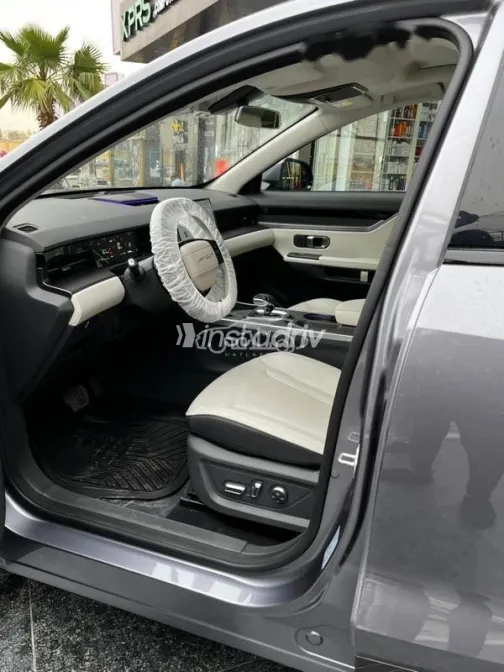 جيتور داشينج 2026 رمادي مستعملة للبيع - 3