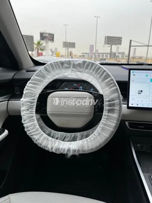 جيتور داشينج 2026 رمادي مستعملة للبيع - 6