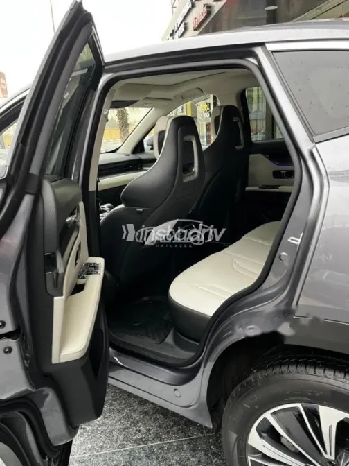 جيتور داشينج 2026 رمادي مستعملة للبيع - 7